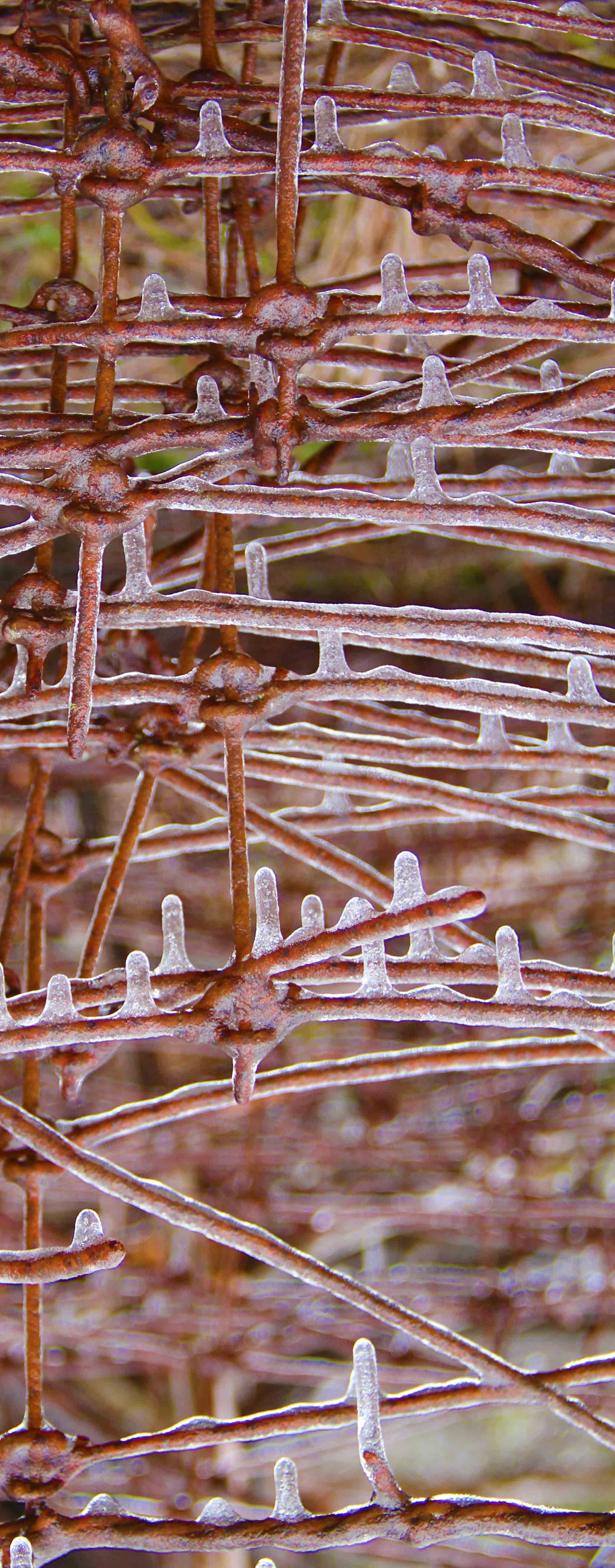Art photography photo from the collection of ice exhibition